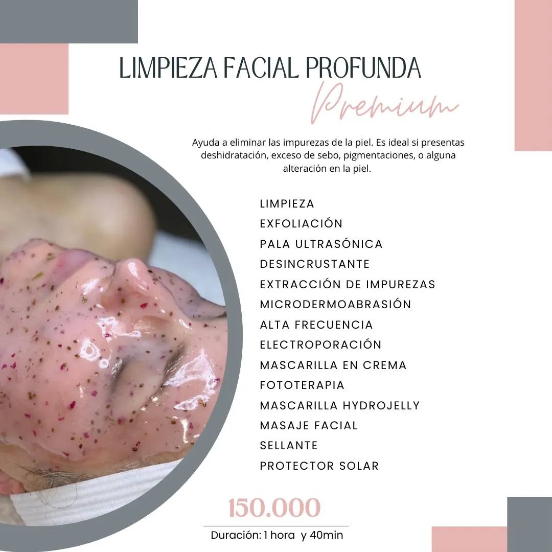Limpieza profunda premium